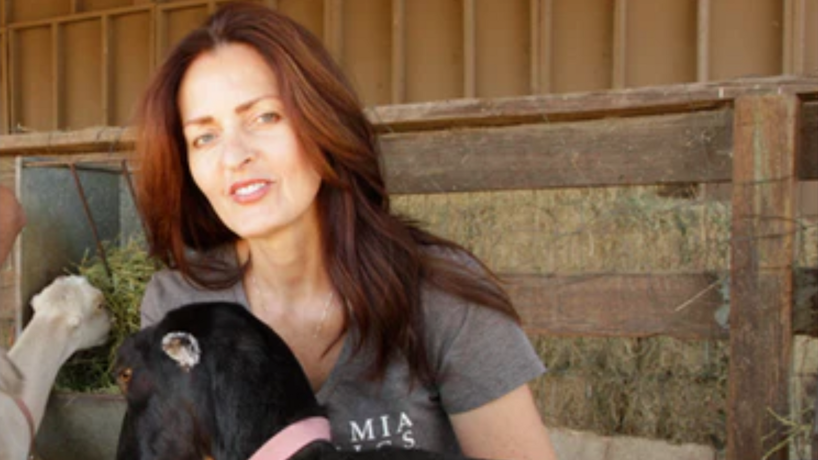 Having Fun in the Sun with Baby Goats
