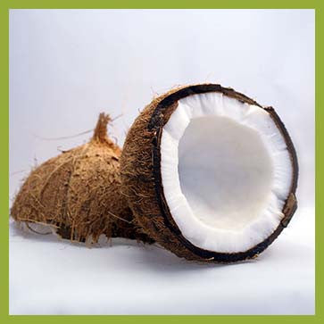 Don't Use Coconut Oil On Your Face! - Tierra Mia Organics