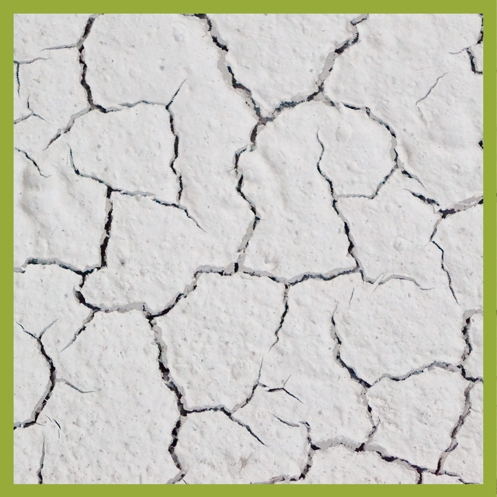 5 SIMPLE TIPS TO HELP HEAL DRY CRACKED HANDS - Tierra Mia Organics