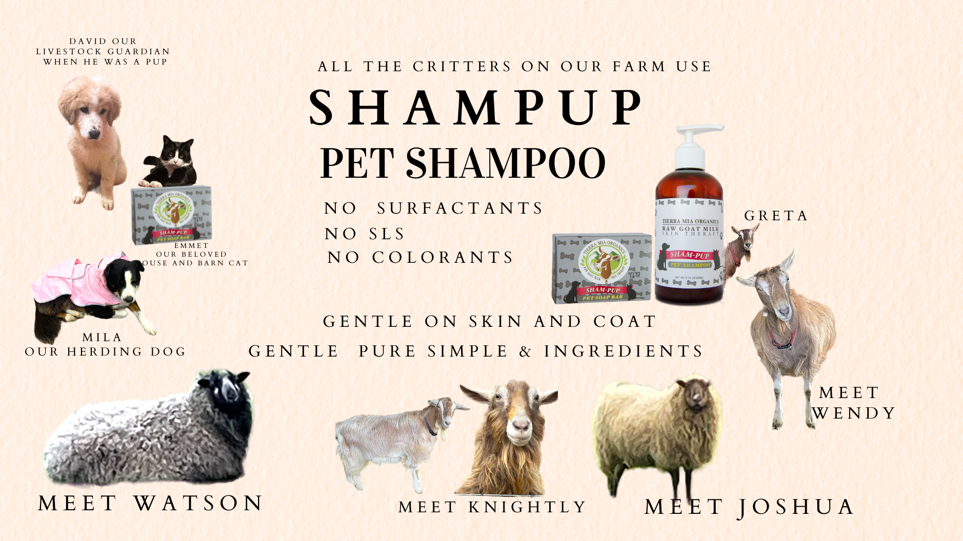 Goat Milk Soap & Shampoo for Pets - Tierra Mia Organics