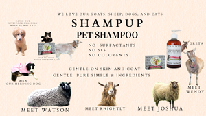 ShamPup Pet Shampoo Soap Bar ShamPup Pet Shampoo Soap Bar