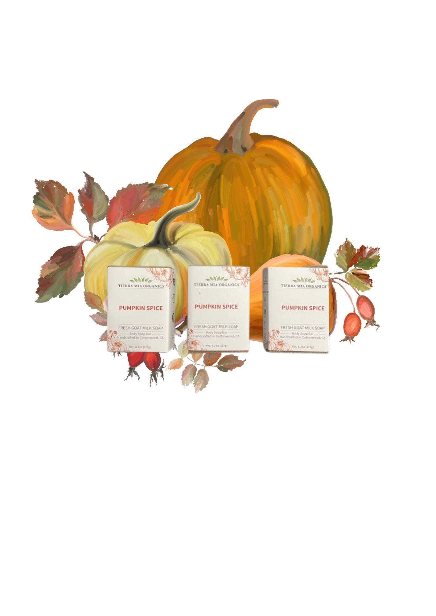 SEASONAL PUMPKIN SPICE BODY BAR