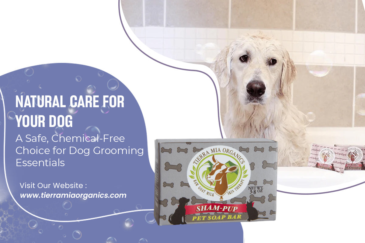 Natural Care for Your Dog: A Safe, Chemical-Free Choice for Dog Grooming Essentials