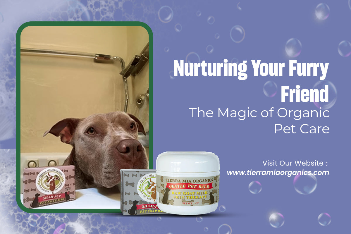 Nurturing Your Furry Friend: The Magic of Organic Pet Care