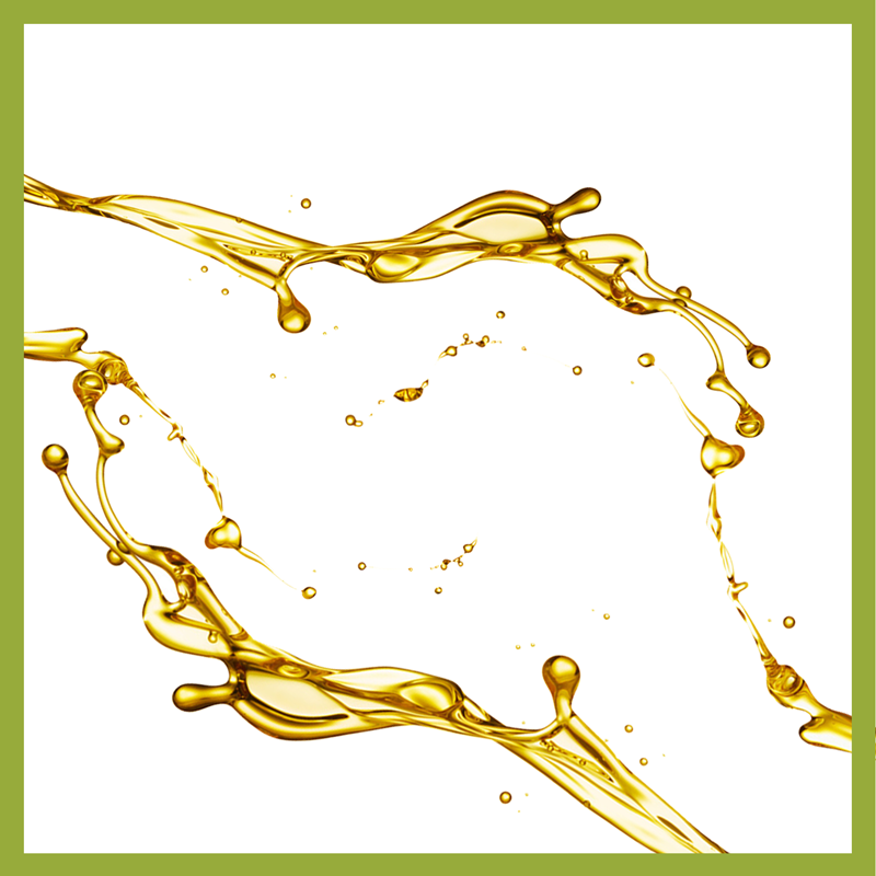 Our Oils LOVE your Skin! - Tierra Mia Organics