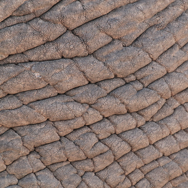 Psoriasis - Tierra Mia Organics