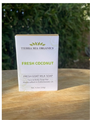  Fresh Coconut —  Soap Bar Fresh Coconut —  Soap Bar