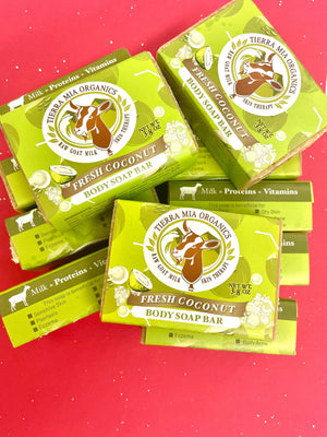 Holiday Soap Bundle of 12 - Tierra Mia Organics