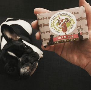  ShamPup Pet Soap Bar Sham-pup_pet_soap_bar_in_hand_of_french_pit