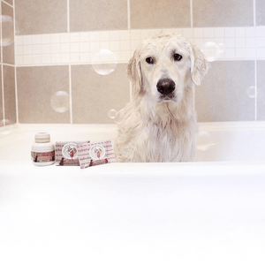 ShamPup Pet Soap Bar - Tierra Mia Organics