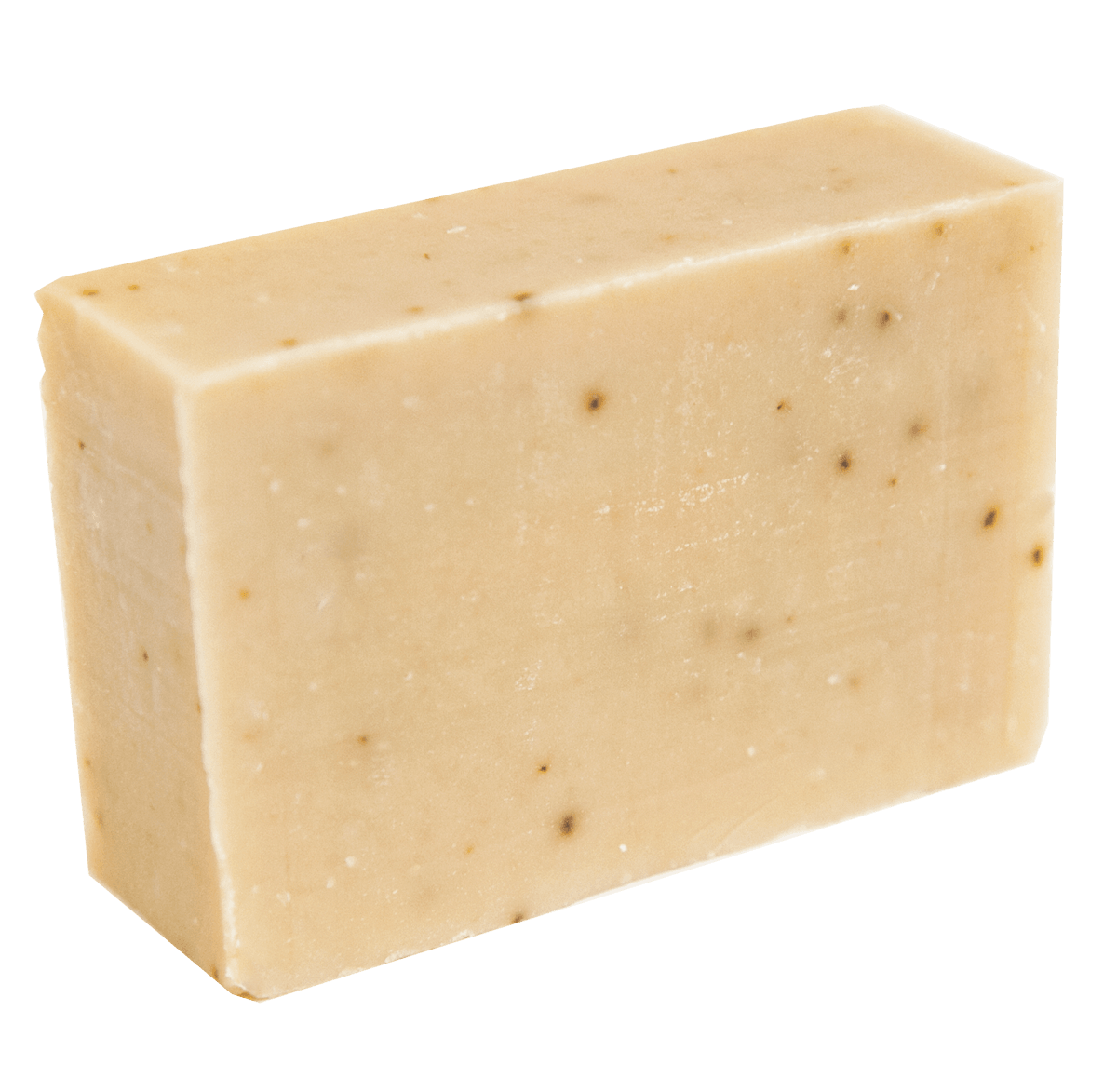 Fresh Forest Body Soap Bar - Tierra Mia Organics