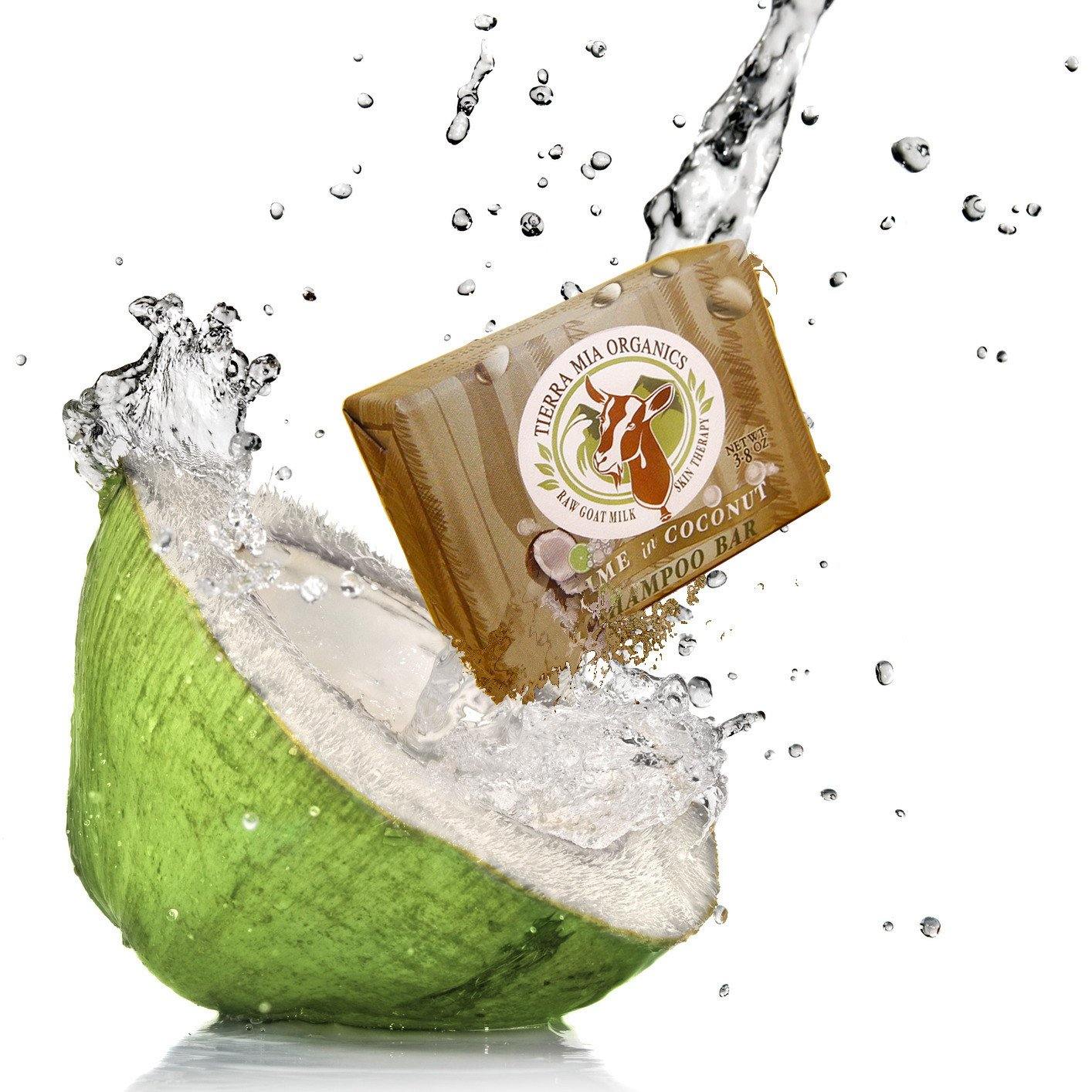 Tierra Mia Organics Lime in Coconut Shampoo Bar in Splash of real coconut